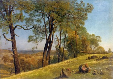 Paisaje Condado De Rockland California Albert Bierstadt Pinturas al óleo